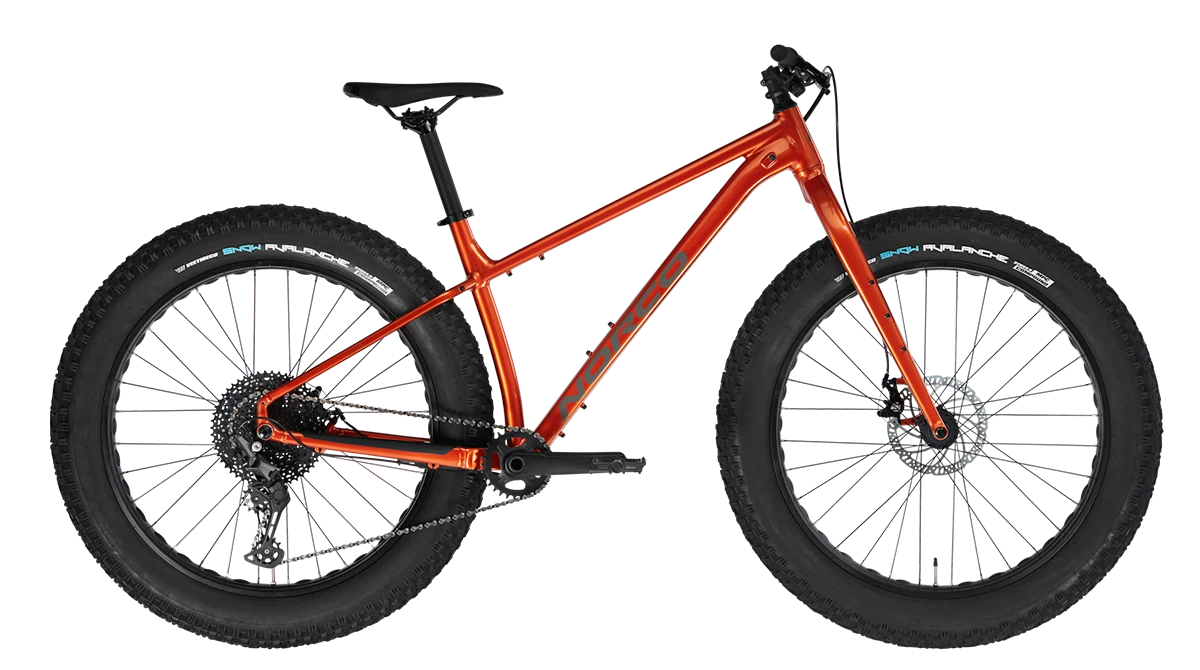 Norco Bigfoot 3
