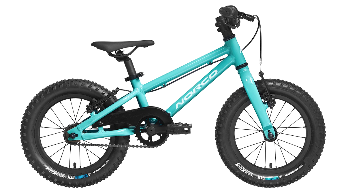 Norco Storm 16 SS