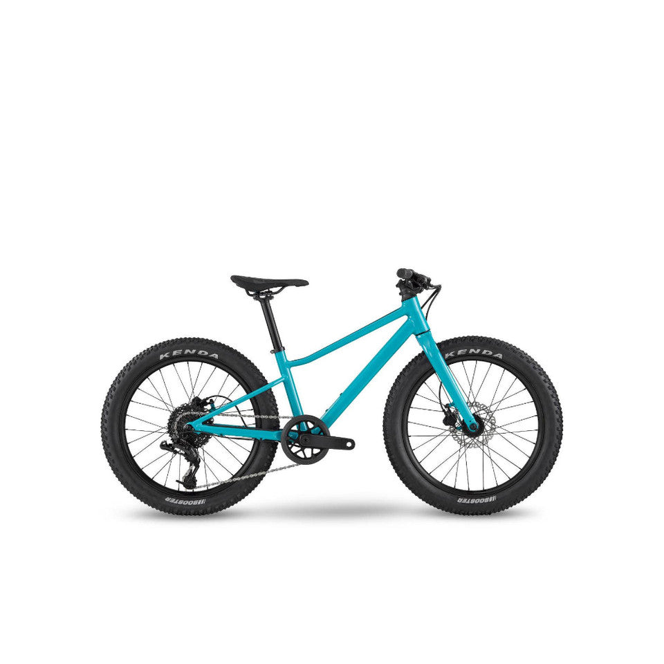 BMC Two Stroke 20