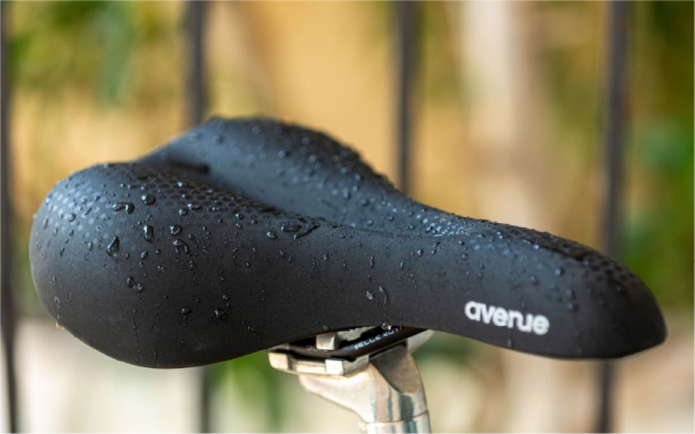 Selle Royal Avenue Athletic