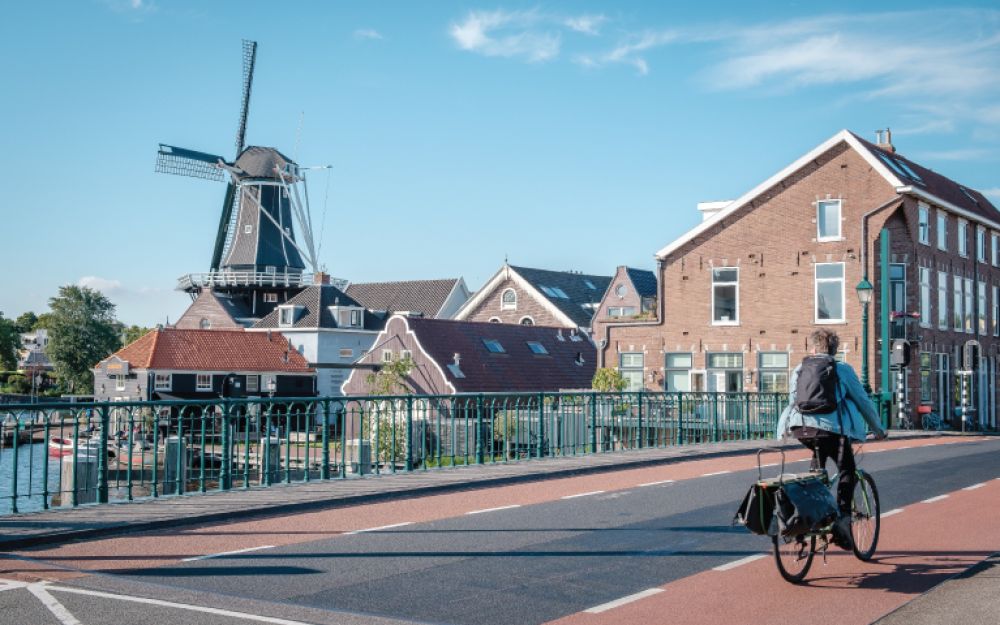 Selle Royal Avenue Athletic