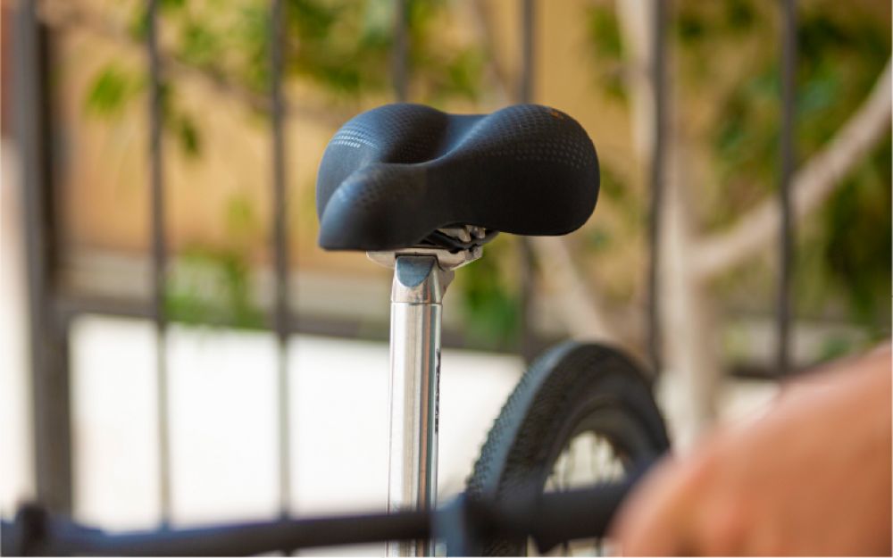 Selle Royal Avenue Athletic